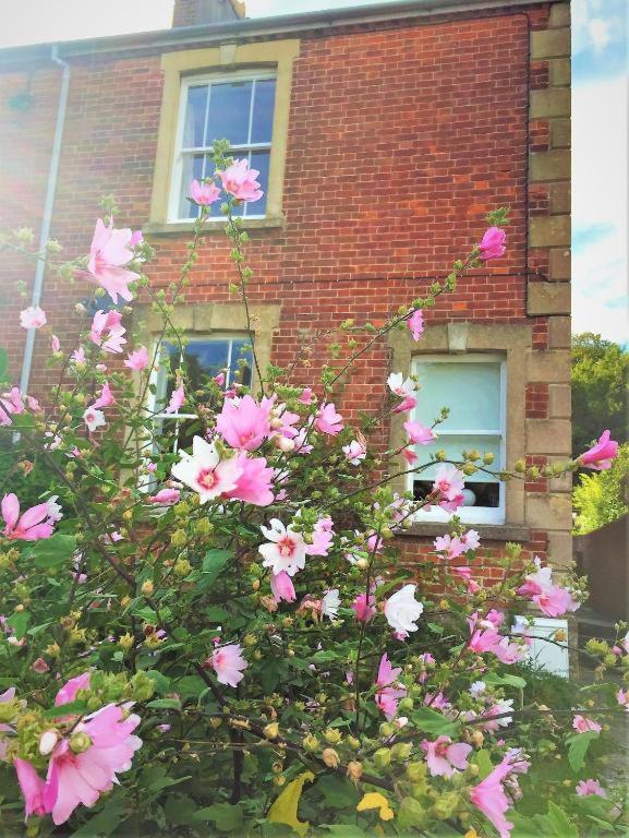 Bed and Breakfast The Victorian House Bridport Exteriér fotografie